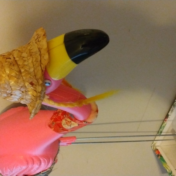 Cowgirl Flamingo - Picture 2 of 5